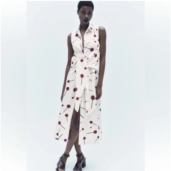 ZARA ZW COLLECTION PRINTED POPLIN SHIRTDRESS SIZE M - Picture 1 of 16
